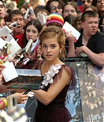 131.jpg