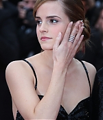 313.jpg