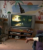 133.jpg
