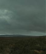 815.jpg
