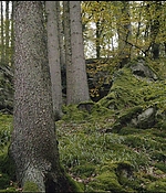 513.jpg