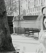 137.jpg